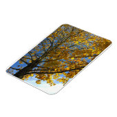 Gele najaarstructuur magneet (Linkerzijde)