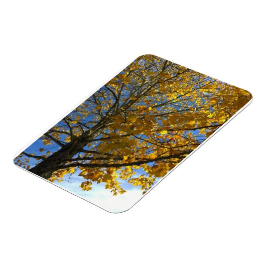 Gele najaarstructuur magneet (Linkerzijde)