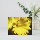 Gele Narcis Bloem Fotografie Briefkaart (Staand voorkant)