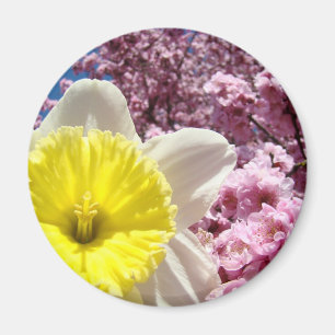 Gele narcis bloem magneet Roze boom bloesem