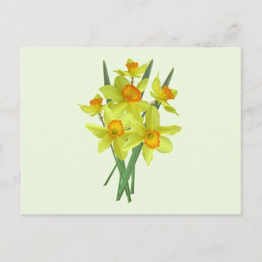 Gele Narcis Bloemen Briefkaart (Voorkant)