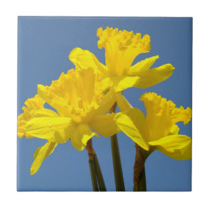 Gele narcis bloemen tegel kunst narcissen tegeltje