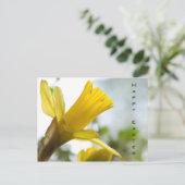 Gele narcis  • Het Briefkaart van Pasen (Staand voorkant)