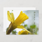 Gele narcis  • Het Briefkaart van Pasen (Voorkant / Achterkant)