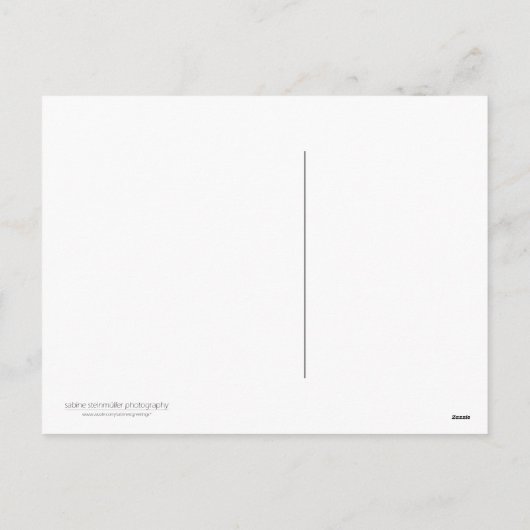 Gele narcis  • Het Briefkaart van Pasen (Achterkant)