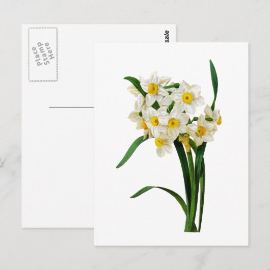 Gele narcis of Narcissen door Pierre Joseph Briefkaart (Voorkant / Achterkant)