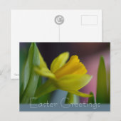 Gele narcisbloem CC0735 Paasgroeten Feestdagenkaart (Voorkant / Achterkant)