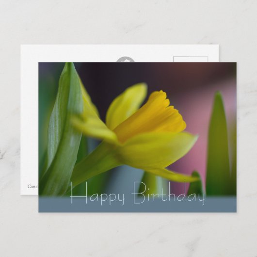 Gele narcisbloem CC0742 Happy Birthday Briefkaart (Voorkant / Achterkant)
