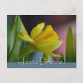 Gele narcisbloem CC0742 Happy Birthday Briefkaart