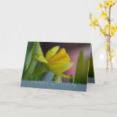 Gele narcisbloem CC0743 Happy Birthday Kaart (Gele Bloem)