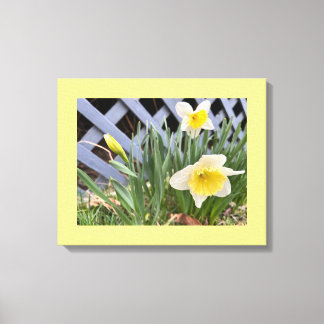 Gele Narcissen #2 Canvas Afdruk