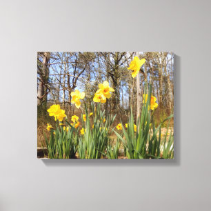 Gele narcissen bij de Druk van het Canvas van Afdruk