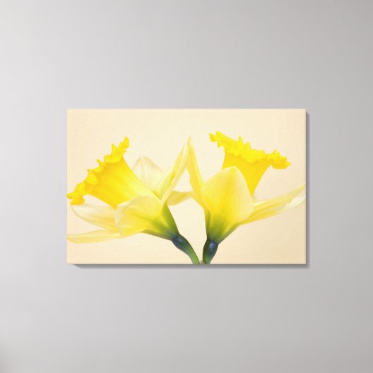 Gele narcissen canvas afdruk (Voorkant)