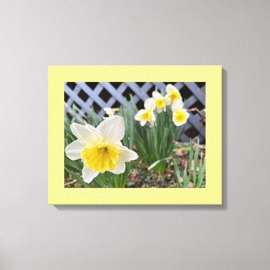 Gele narcissen canvas afdruk (Voorkant)