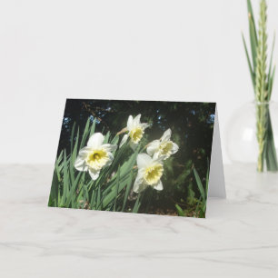 Gele narcissen feestdagen kaart