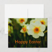Gele narcissen • Het Briefkaart van Pasen (Voorkant / Achterkant)