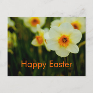 Gele narcissen • Het Briefkaart van Pasen