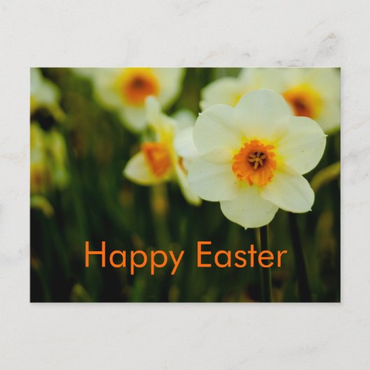 Gele narcissen • Het Briefkaart van Pasen (Voorkant)