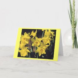 Gele narcissen kaart