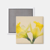 Gele narcissen magneet (Voorkant / Achterkant)