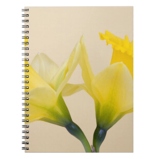 Gele narcissen notitieboek (Voorkant)