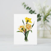 Gele narcissen of Narcissen door Pierre Joseph Briefkaart (Staand voorkant)
