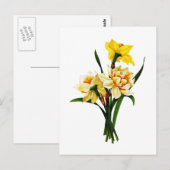 Gele narcissen of Narcissen door Pierre Joseph Briefkaart (Voorkant / Achterkant)