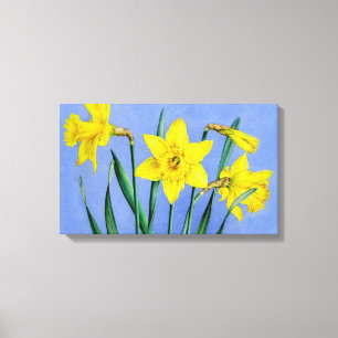 Gele narcissen op blauwe canvas wrap print
