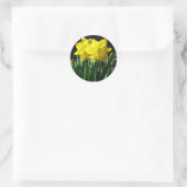 Gele narcissen - Sticker (Tas)