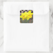 Gele Narcissen Sticker (Tas)