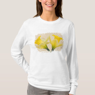 Gele narcissen t-shirt
