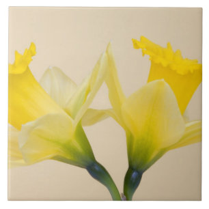 Gele narcissen tegeltje