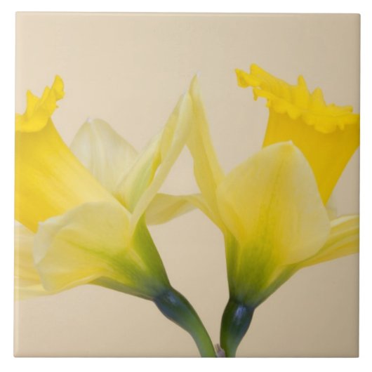 Gele narcissen tegeltje (Voorkant)