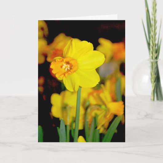 Gele Narcissenkaart Kaart (Voorkant)