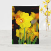 Gele Narcissenkaart Kaart (Gele Bloem)