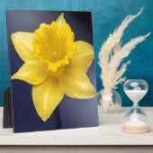 Gele Narcissus Bloemen waterverf Fotoplaat (Zijkant)