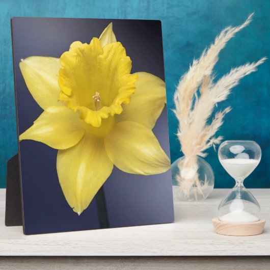 Gele Narcissus Bloemen waterverf Fotoplaat (Zijkant)