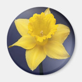 Gele Narcissus Bloemen waterverf Magneet (Voorkant)
