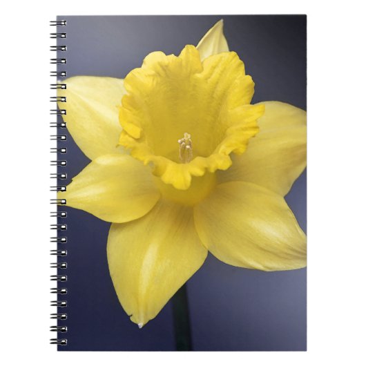 Gele Narcissus Bloemen waterverf Notitieboek (Voorkant)