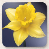 Gele Narcissus Bloemen waterverf Onderzetter (Voorkant)