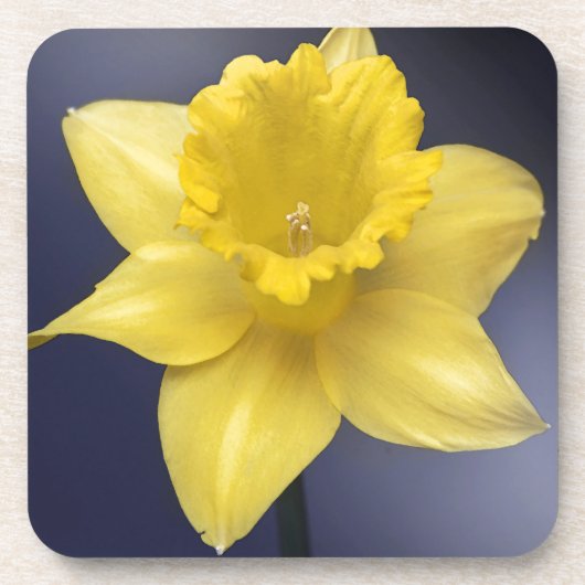 Gele Narcissus Bloemen waterverf Onderzetter (Voorkant)