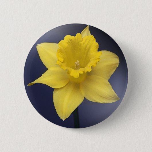 Gele Narcissus Bloemen waterverf Ronde Button 5,7 Cm (Voorkant)