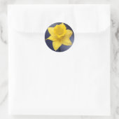 Gele Narcissus Bloemen waterverf Ronde Sticker (Tas)