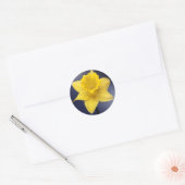 Gele Narcissus Bloemen waterverf Ronde Sticker (Envelop)