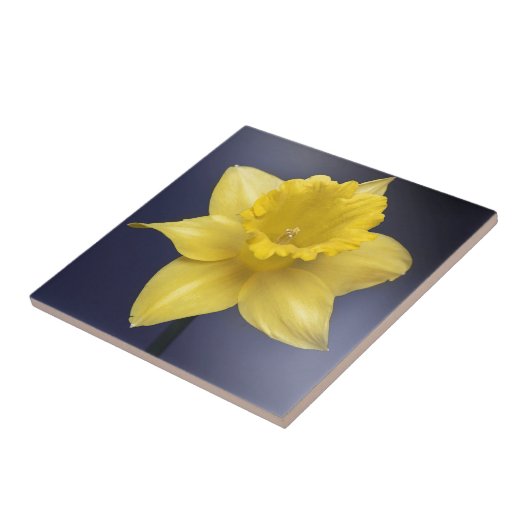 Gele Narcissus Bloemen waterverf Tegeltje (Zijkant)