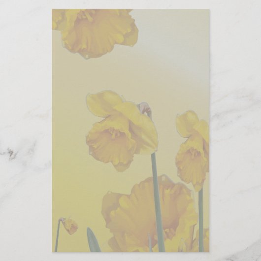 Gele Narcissus Daffodil Briefpapier (Voorkant)