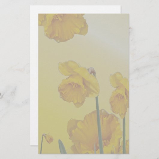 Gele Narcissus Daffodil Briefpapier (Voorkant / Achterkant)