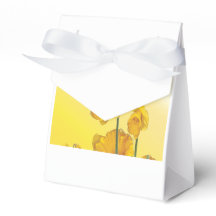 Gele Narcissus Daffodil Fab Bloemen Bloemen