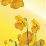 Gele Narcissus Daffodil Fotobeeldje Ornament<br><div class="desc">Gele Narcissus Daffodil</div>