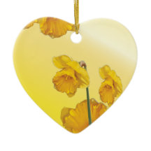 Gele Narcissus Daffodil